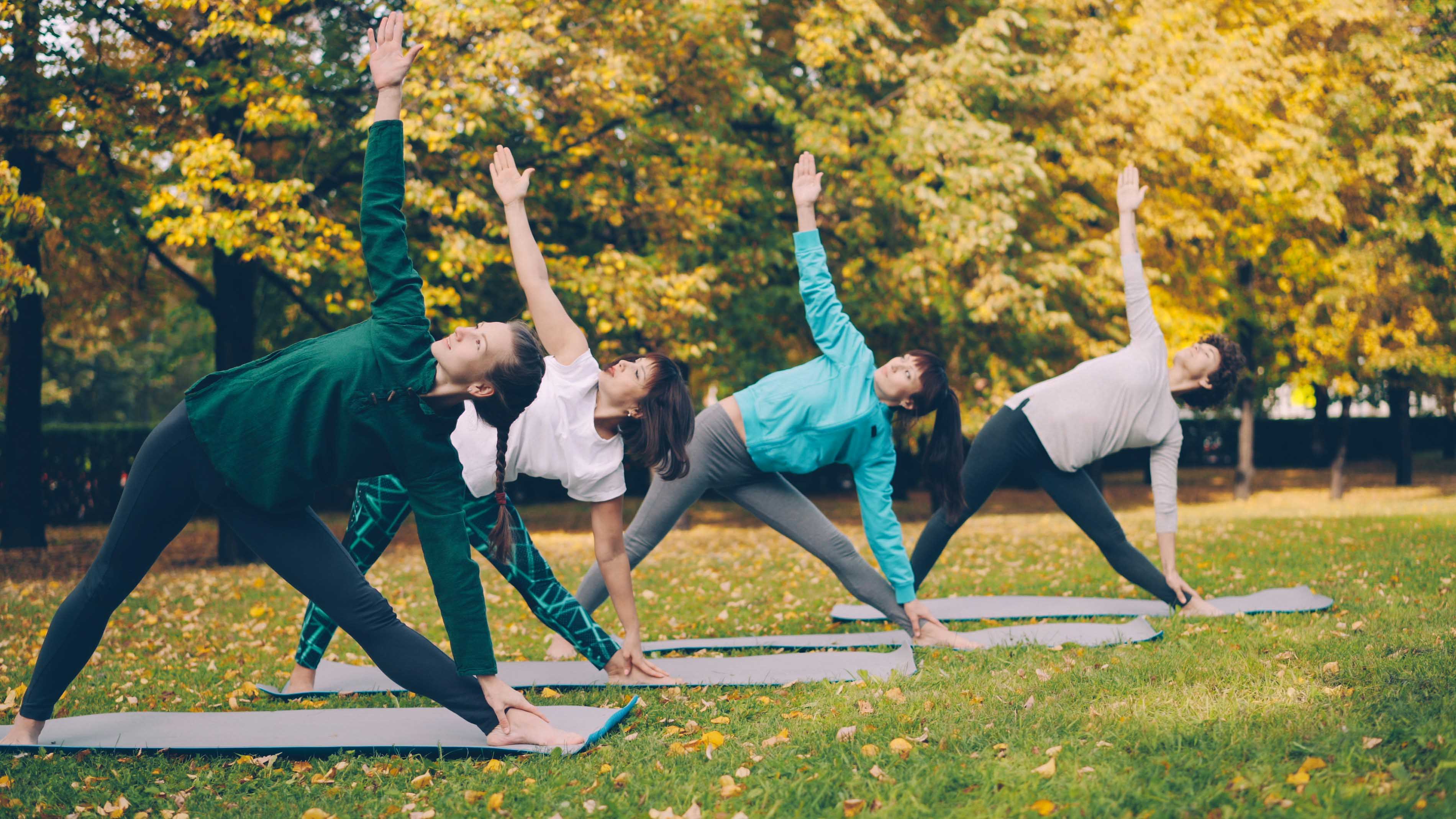 Wellbeing program